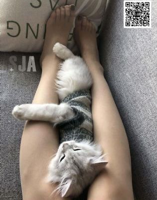 搞笑电影国产喜剧东北_高清完整视频观看